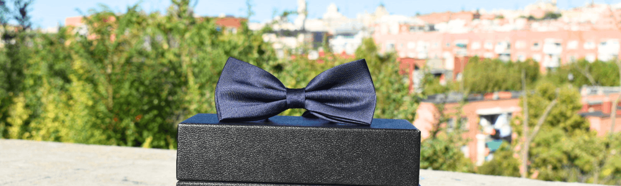 Pajarita azul marino sobre cajas con fondo de Madrid