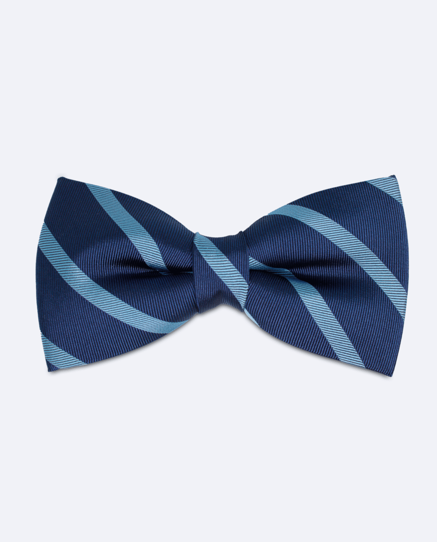 Pajarita azul marino con rayas azul cielo